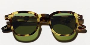 Momza_Heritage tortoise
